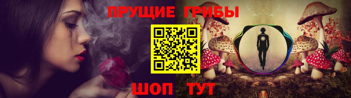 Псилоцибиновые грибы Psilocybine cubensis Тайшет